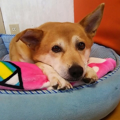 みんな体調に気を付けてねぇ