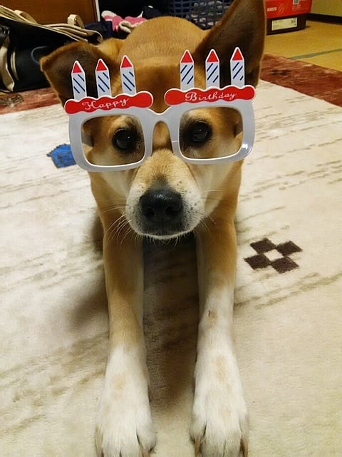 10歳になりました