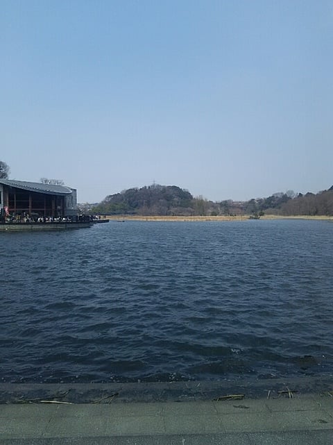 21世紀の森と広場